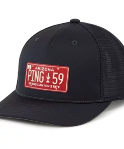 Ping License Plate Hat