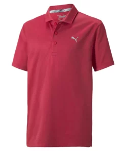 Puma Junior Boys Essential Polo 10 Puma Junior Boys Essential Polo -Golf Sales Store puma junior boys essential polo ski patrol 01 37317.1666792348